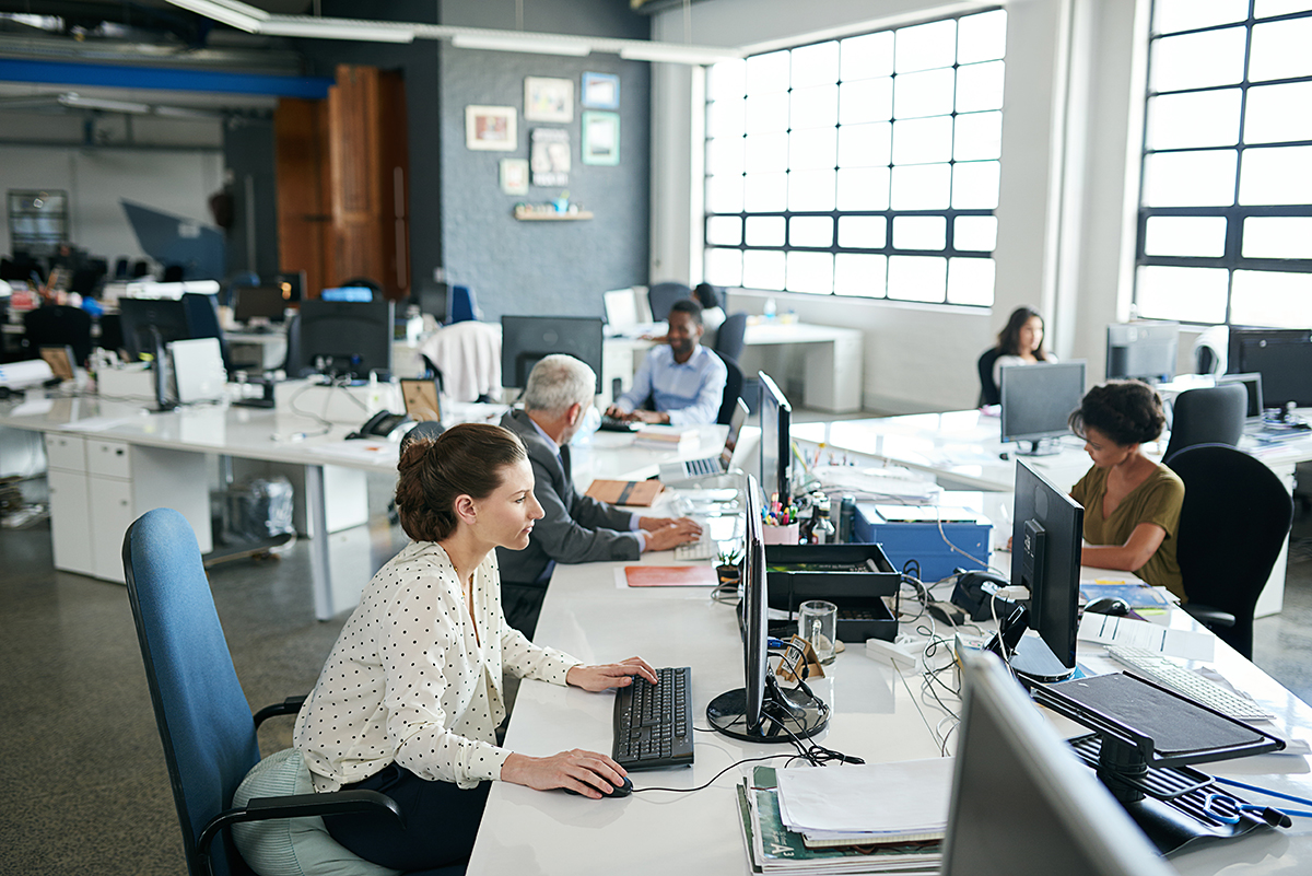 Distribution and Investor Relations