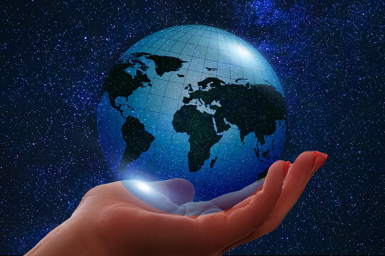 Distribution and Investor Relations